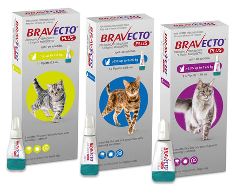 MSD Animal Health Bravecto Plus Fluralaner Spot-on Solution for Cats 1 pcs., Капли "Бравекто Плюс" на холку для защиты кошек от клещей и блох 1 шт.