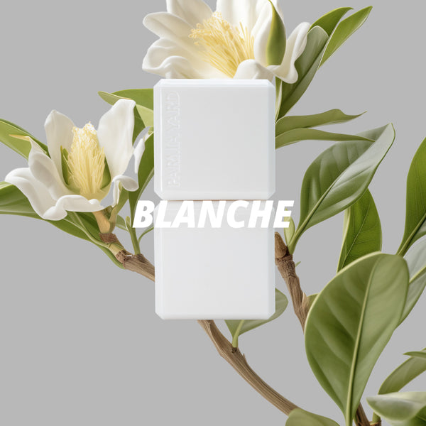 PARMAYARD Blanche Perfume Balm 7g., Сухие духи "Бланш" 7 гр.